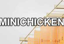搬瓦工最便宜套餐 弗里蒙特机房 MINICHICKEN 补货,仅19美元/年!-55主机测评网